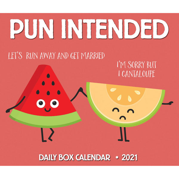 2021 Pun Intended Daily Box Calendar Bas Bleu