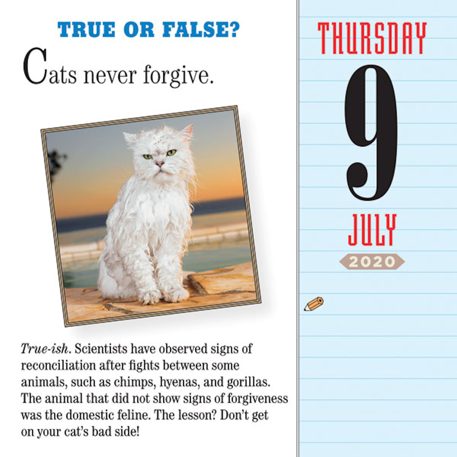 2020 Cat Trivia Page-a-Day Calendar 9781523506583 | eBay