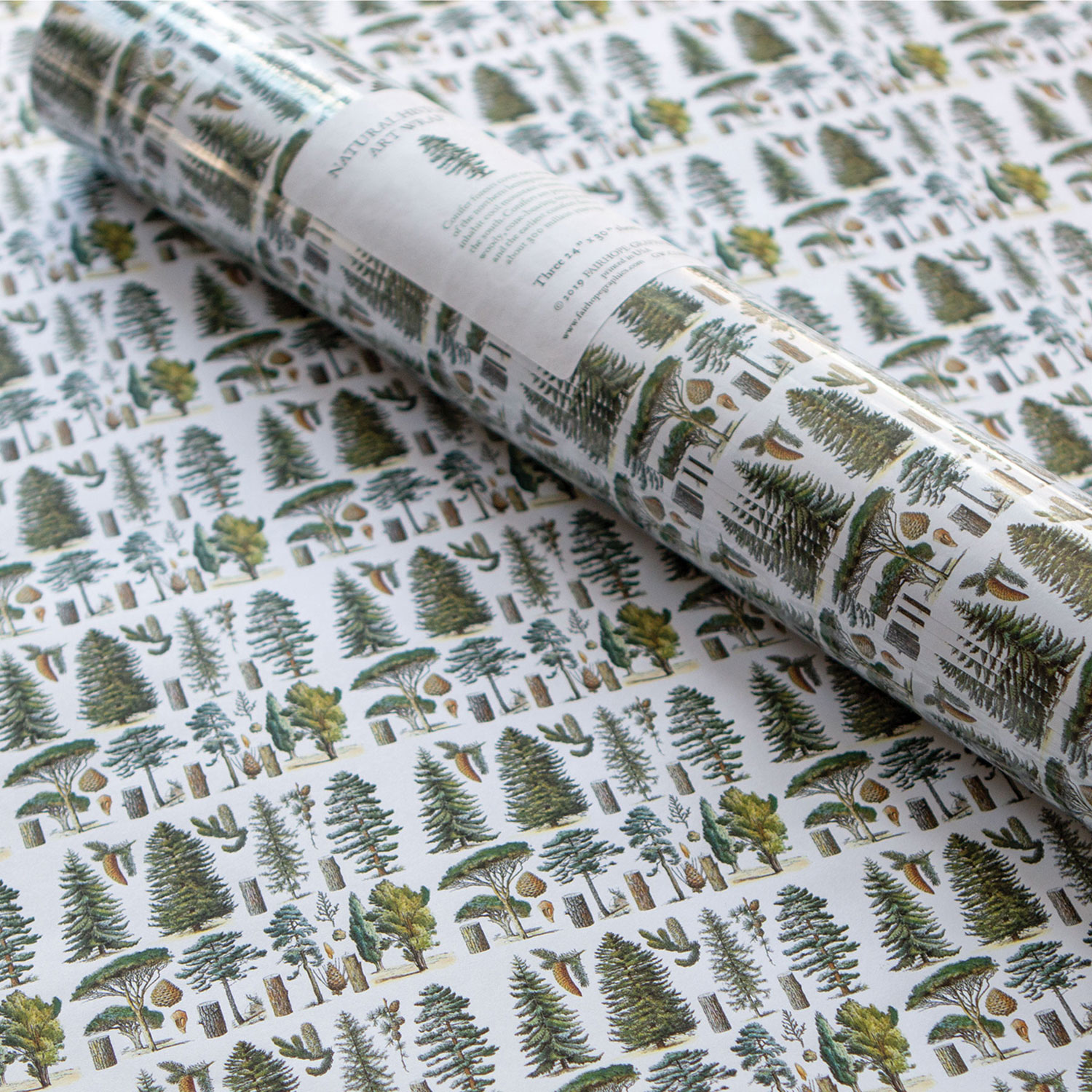 Natural History Gift Wrap: Conifers | 9 Reviews | 4.88889 Stars | Bas ...